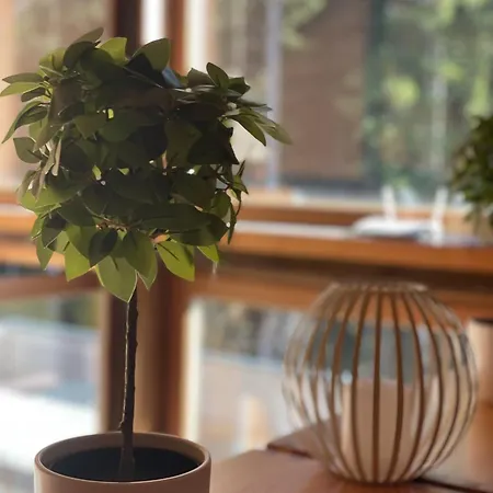 22 Bernau im Schwarzwald